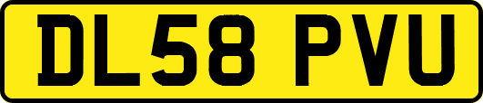 DL58PVU