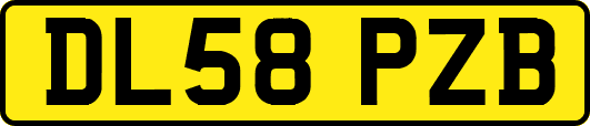 DL58PZB