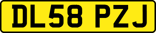 DL58PZJ