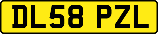 DL58PZL