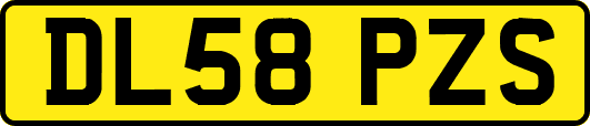 DL58PZS
