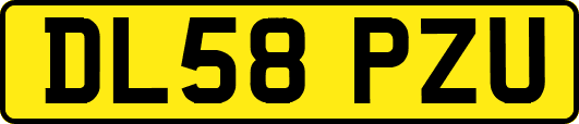DL58PZU