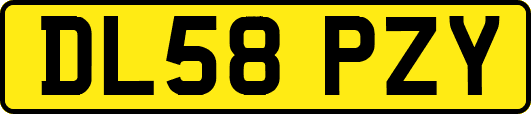 DL58PZY