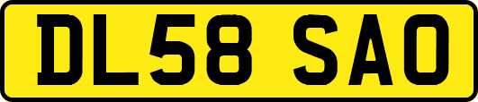 DL58SAO