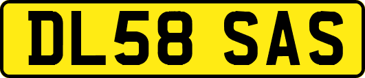 DL58SAS