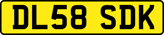 DL58SDK