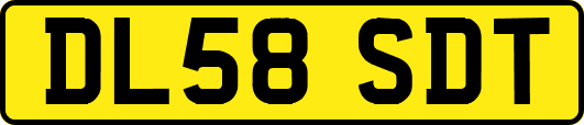 DL58SDT