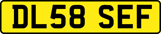 DL58SEF