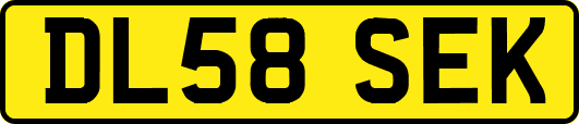 DL58SEK