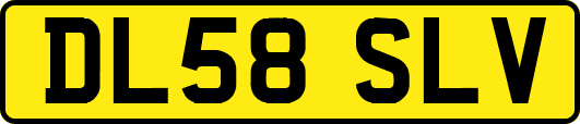 DL58SLV