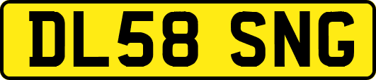 DL58SNG