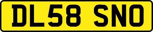 DL58SNO