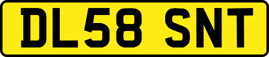 DL58SNT