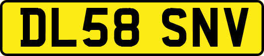 DL58SNV