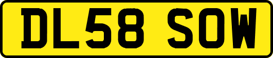 DL58SOW