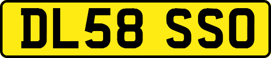 DL58SSO
