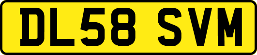 DL58SVM