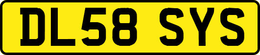 DL58SYS