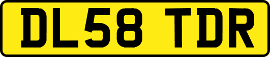 DL58TDR