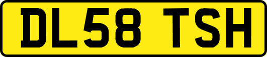 DL58TSH