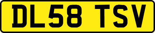 DL58TSV