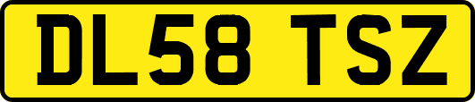 DL58TSZ