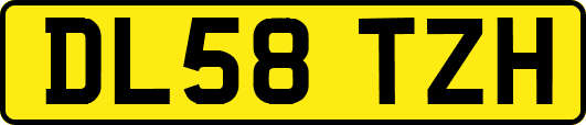 DL58TZH