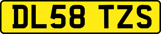DL58TZS