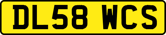 DL58WCS