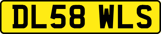 DL58WLS