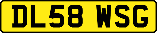 DL58WSG