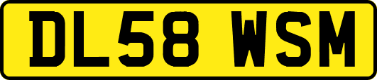 DL58WSM