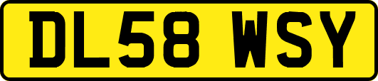 DL58WSY