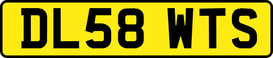 DL58WTS