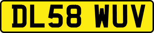 DL58WUV