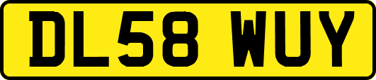 DL58WUY