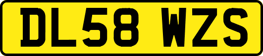 DL58WZS