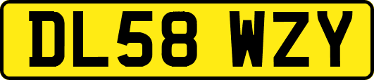 DL58WZY
