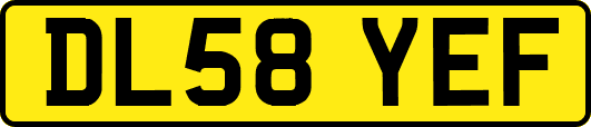 DL58YEF