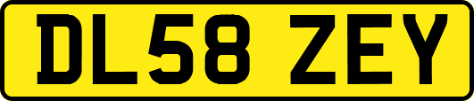 DL58ZEY