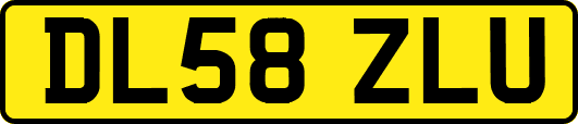 DL58ZLU