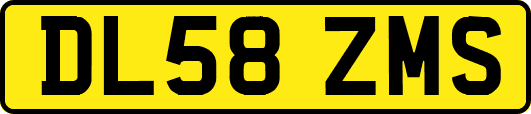 DL58ZMS