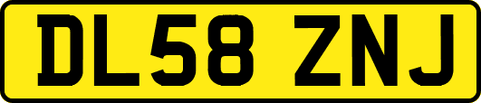 DL58ZNJ