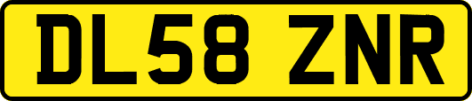 DL58ZNR