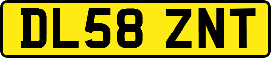 DL58ZNT