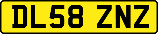 DL58ZNZ