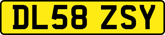 DL58ZSY