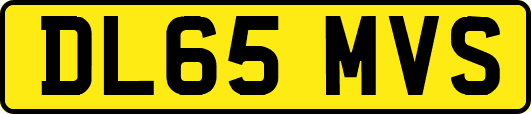 DL65MVS