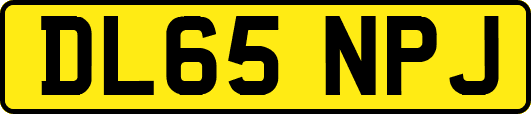 DL65NPJ