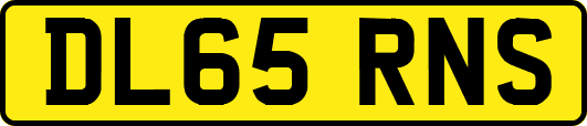 DL65RNS